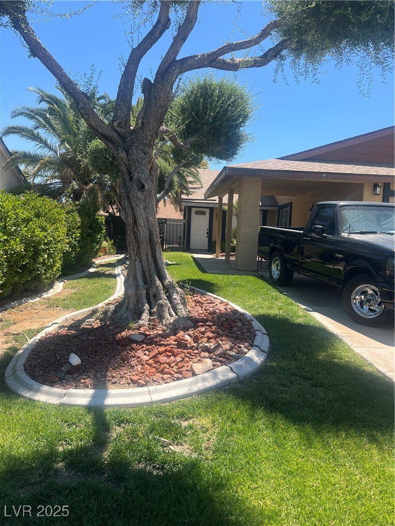 7247 Manatee Court