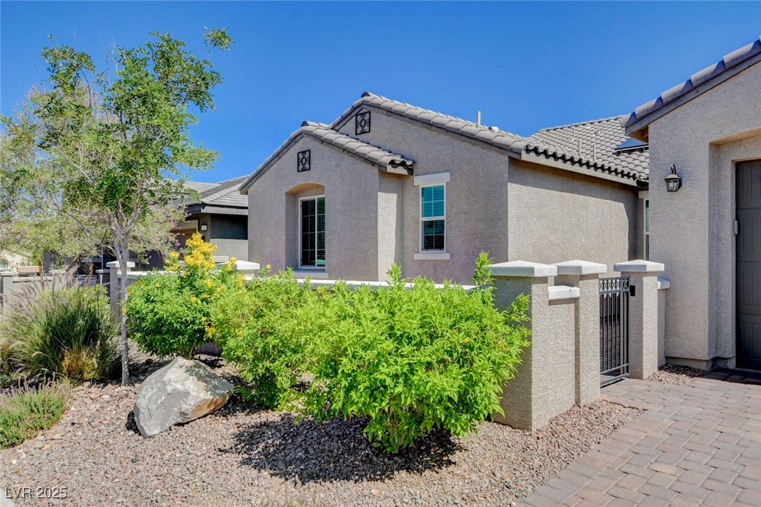 716 Cadence View Way