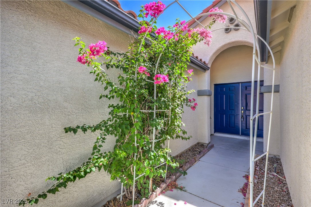 1166 Panorama Heights Street