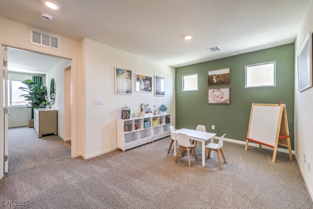 1321 Brianna Falls Drive 58