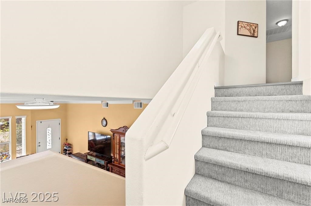 7032 Wonderberry Street