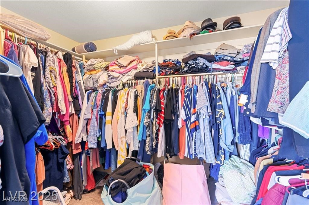 7032 Wonderberry Street