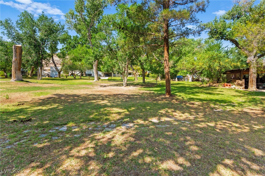 100 Spanish Trail
