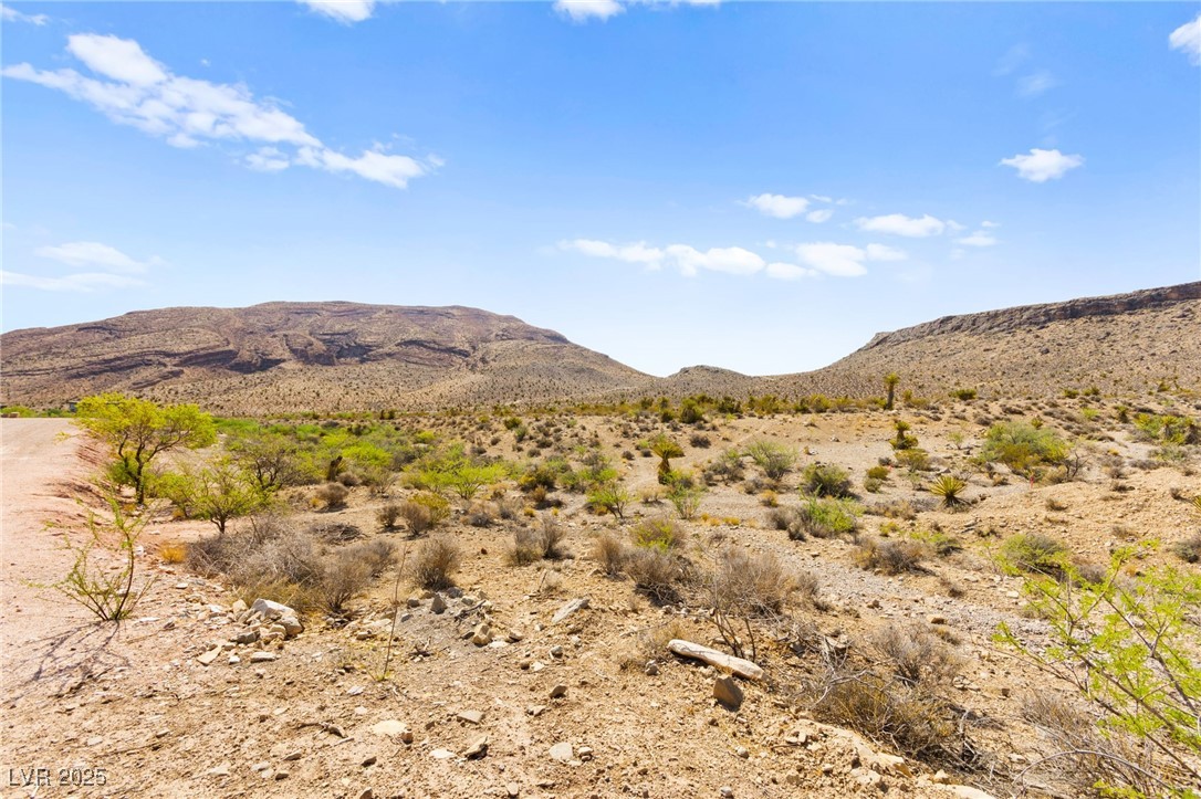 100 Spanish Trail