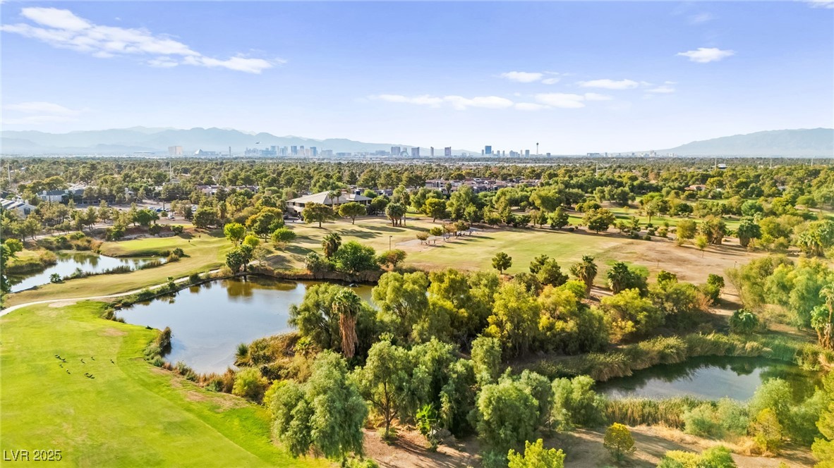 409 Indigo Springs Street