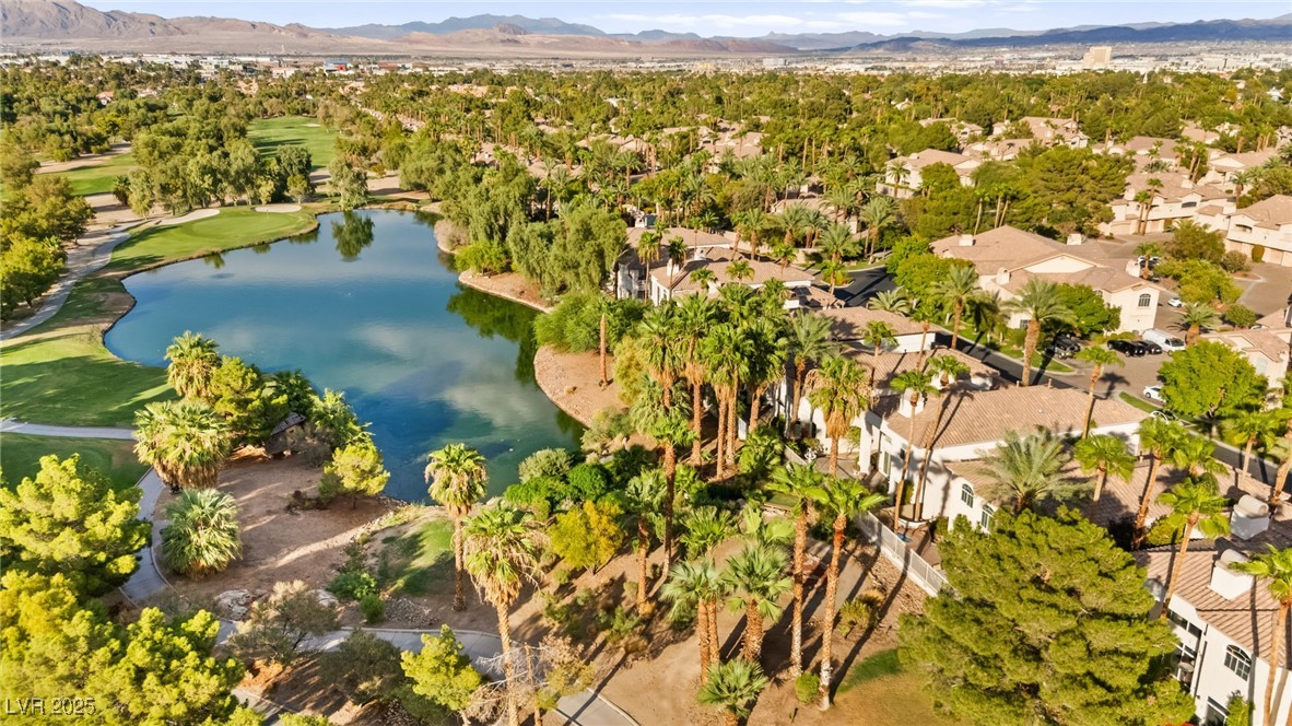 409 Indigo Springs Street