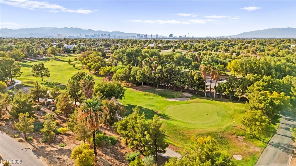 409 Indigo Springs Street