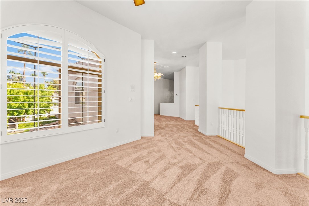 409 Indigo Springs Street