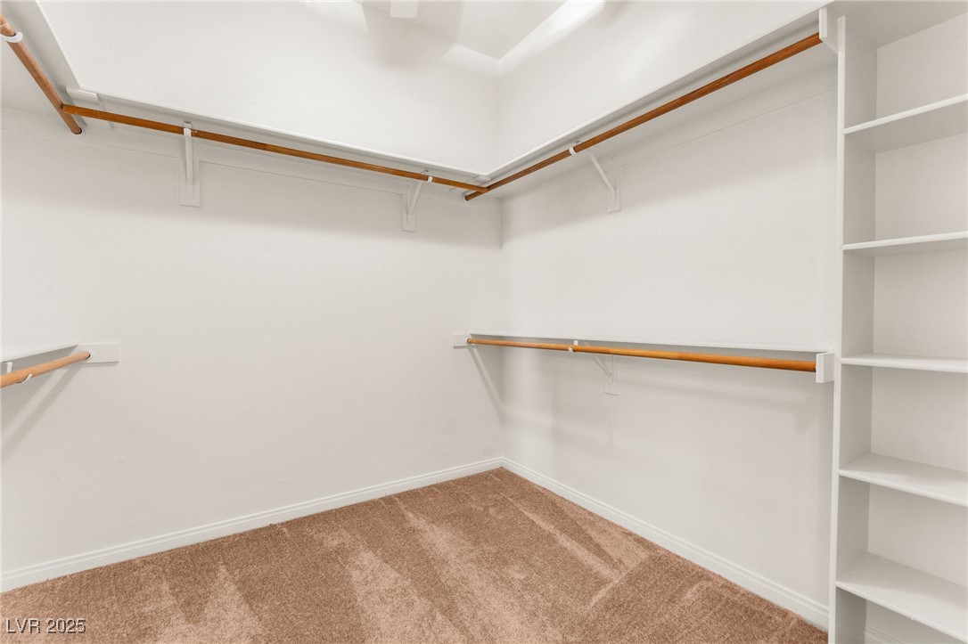 409 Indigo Springs Street