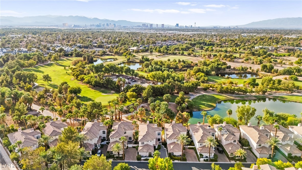 409 Indigo Springs Street