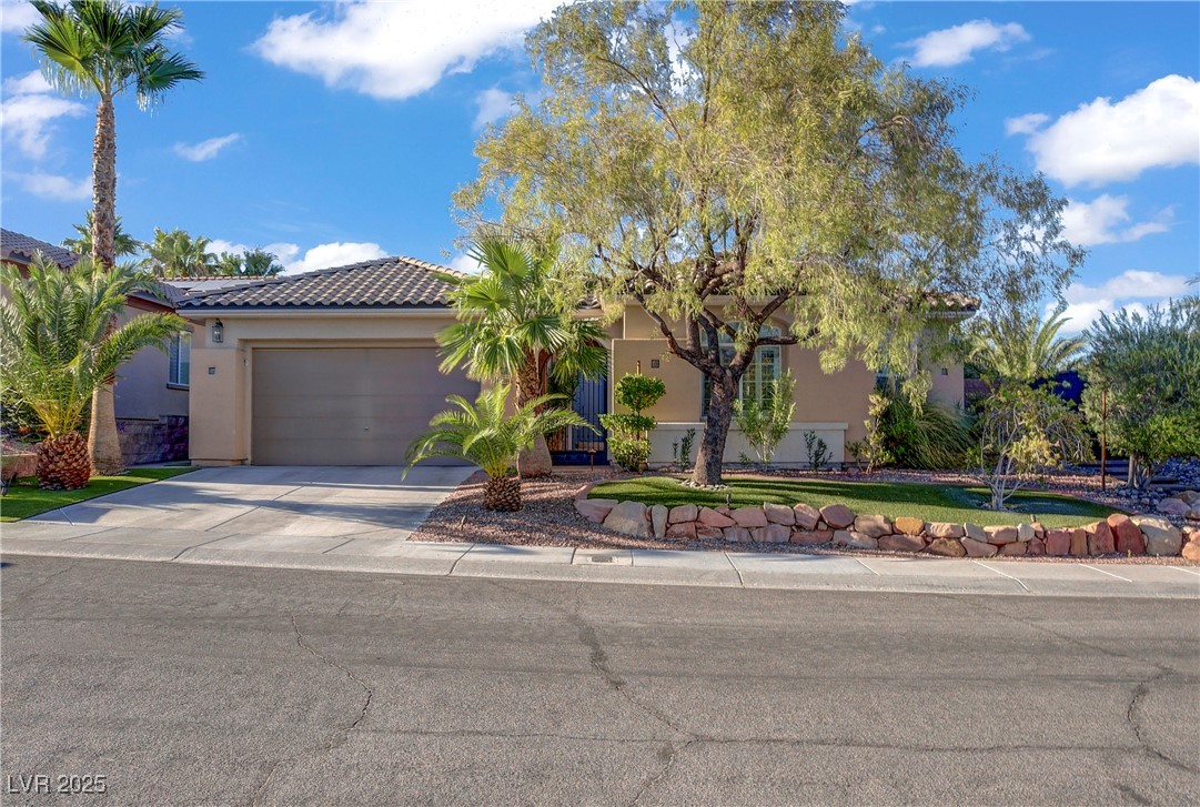 11304 Asilo Bianco Avenue