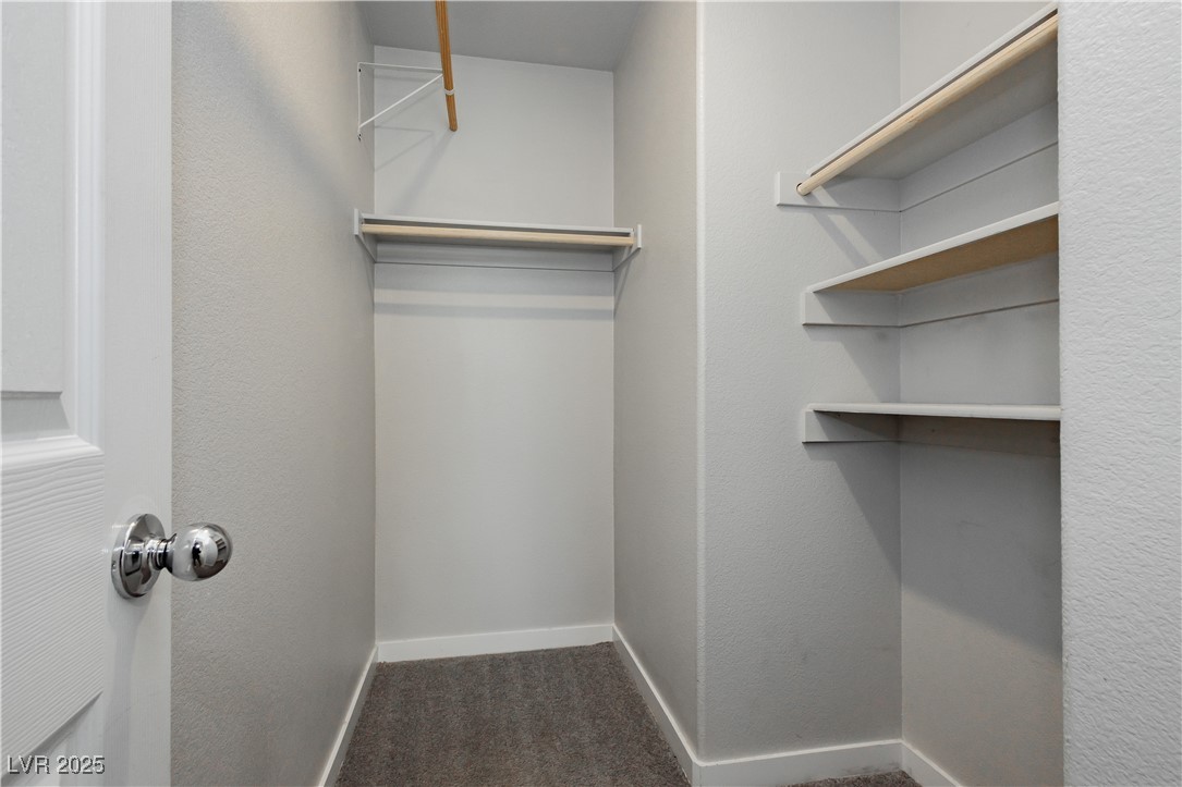 5480 Verbena Lime Lane