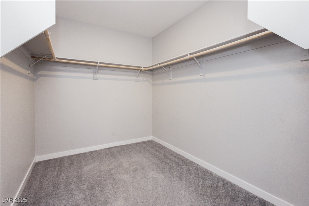 5480 Verbena Lime Lane