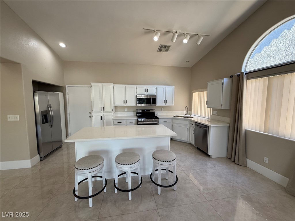 517 Scenic Terra Drive
