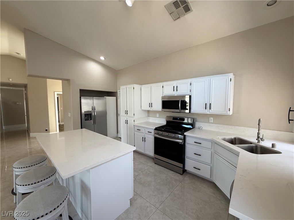 517 Scenic Terra Drive