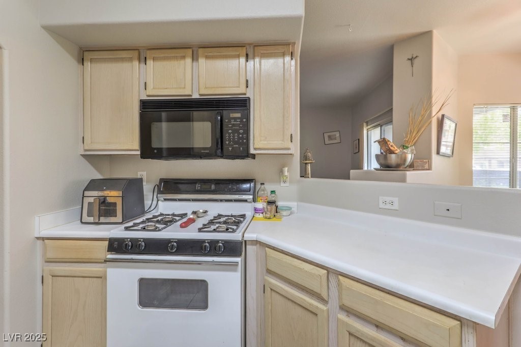 5525 West Flamingo Road 1009