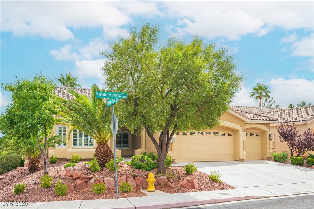 1812 Monterey Cypress Street