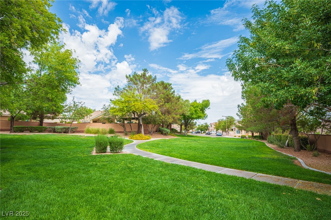 1812 Monterey Cypress Street