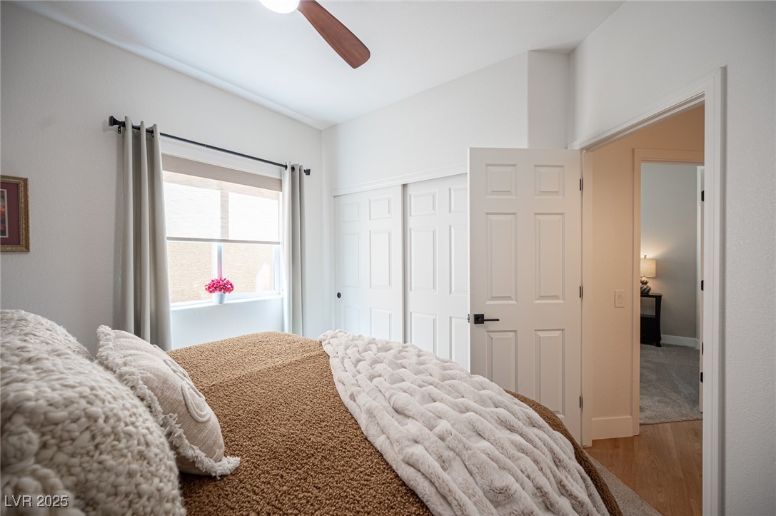 1812 Monterey Cypress Street