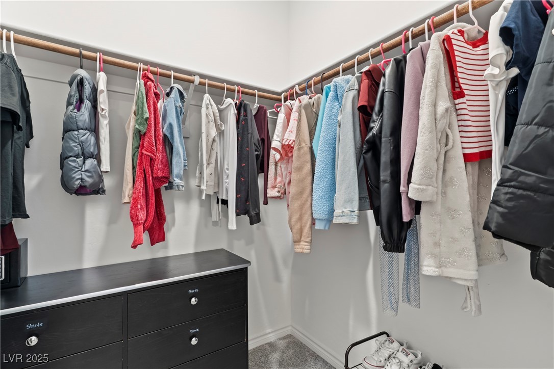 9831 Mojave Mountain Street