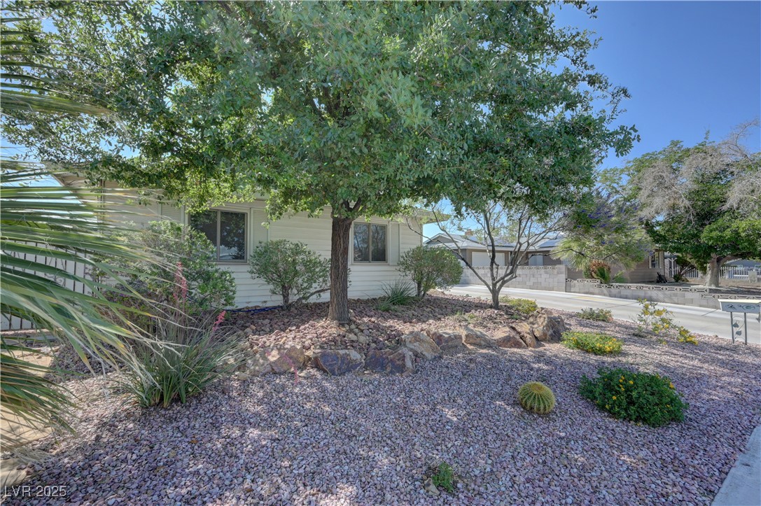 4445 Peterson Drive