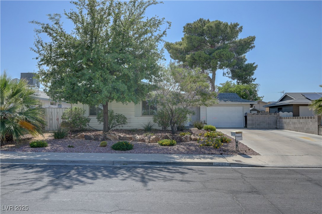 4445 Peterson Drive