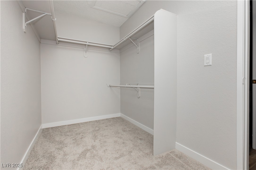 3619 Edinburgh Drive