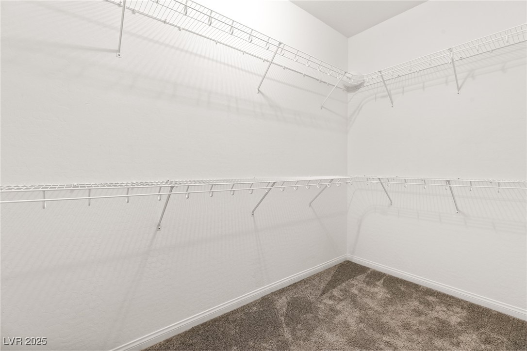 11689 Bearpaw Meadow Avenue