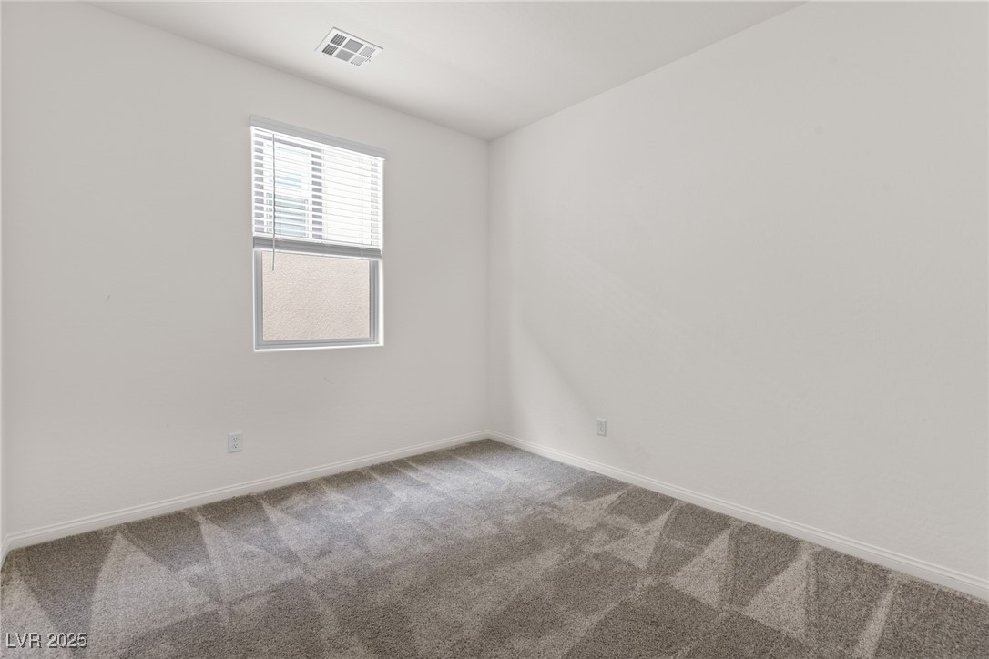 11689 Bearpaw Meadow Avenue