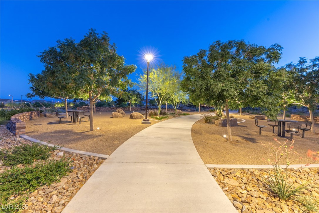 11689 Bearpaw Meadow Avenue