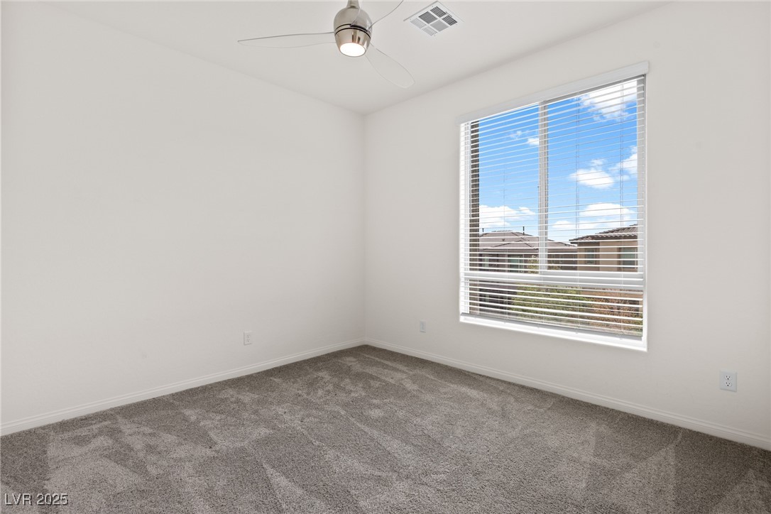 11689 Bearpaw Meadow Avenue