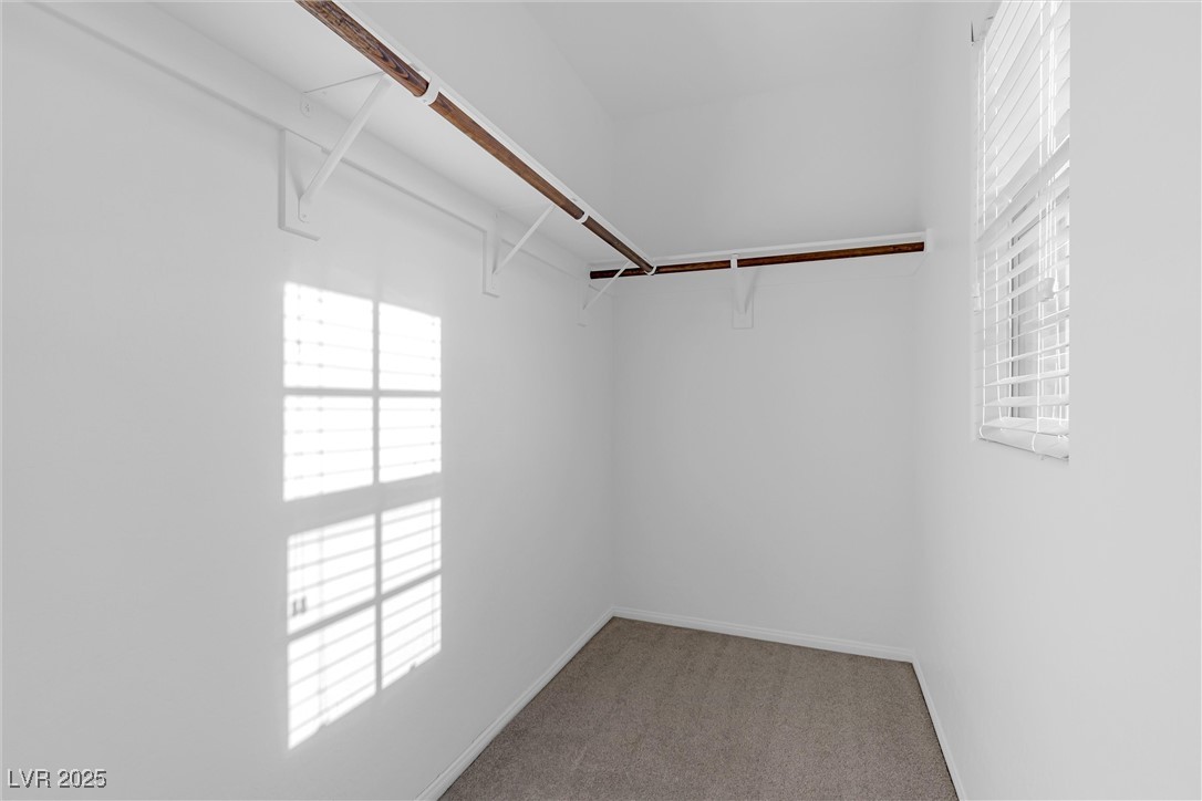 7254 Puddle Duck Street