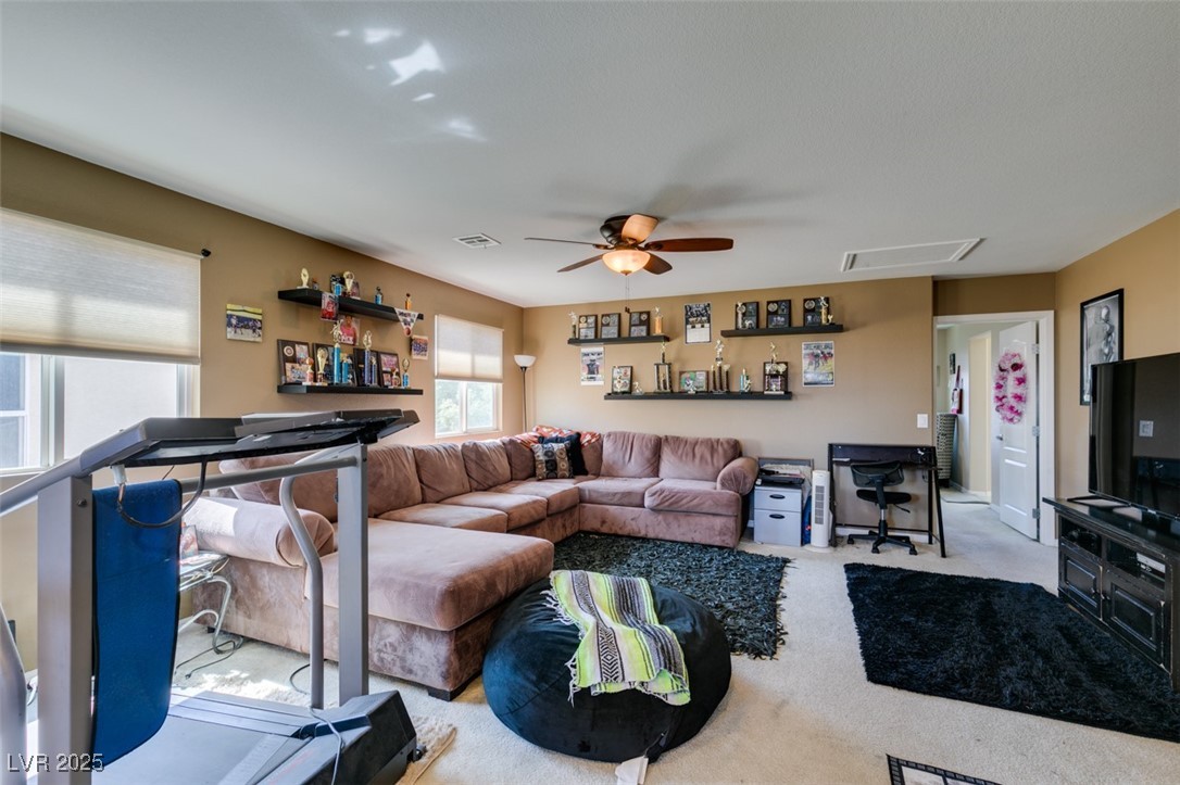 7851 Torreys Peak Street