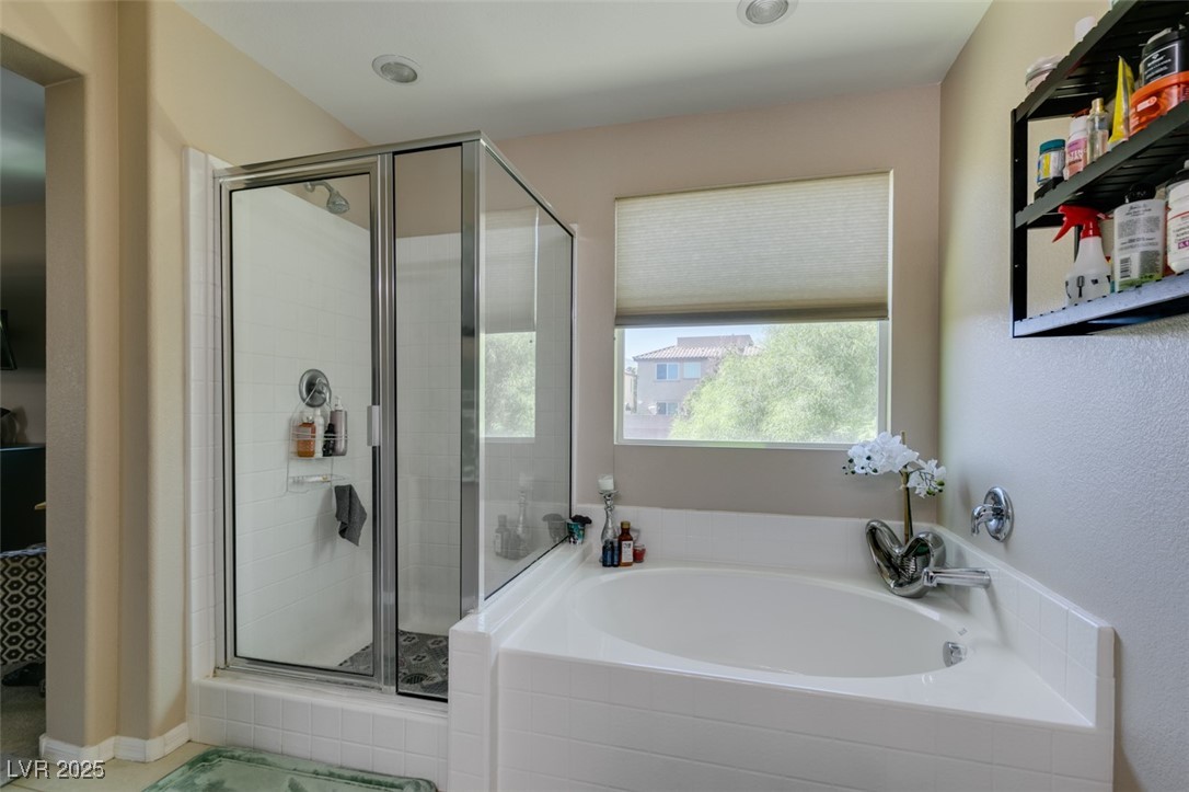 7851 Torreys Peak Street