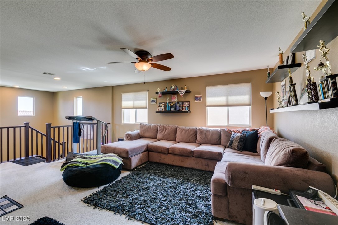 7851 Torreys Peak Street