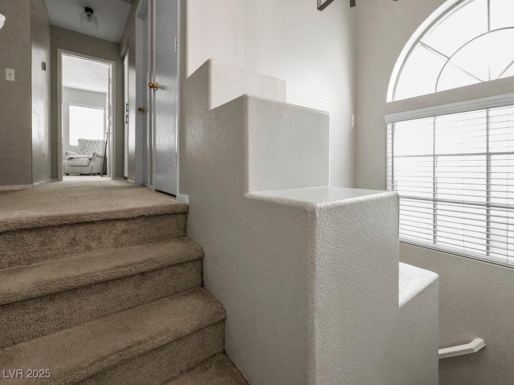 3250 Cheltenham Street