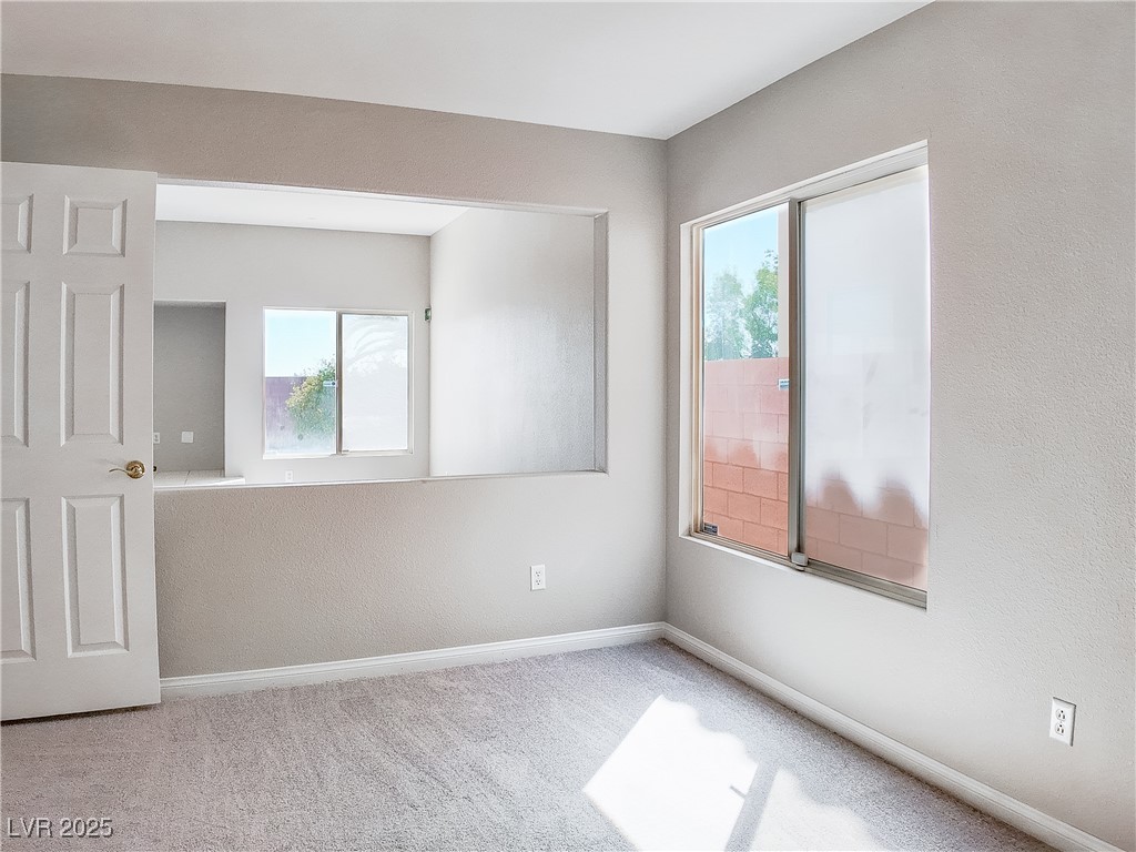 7746 Nautilus Shell Street