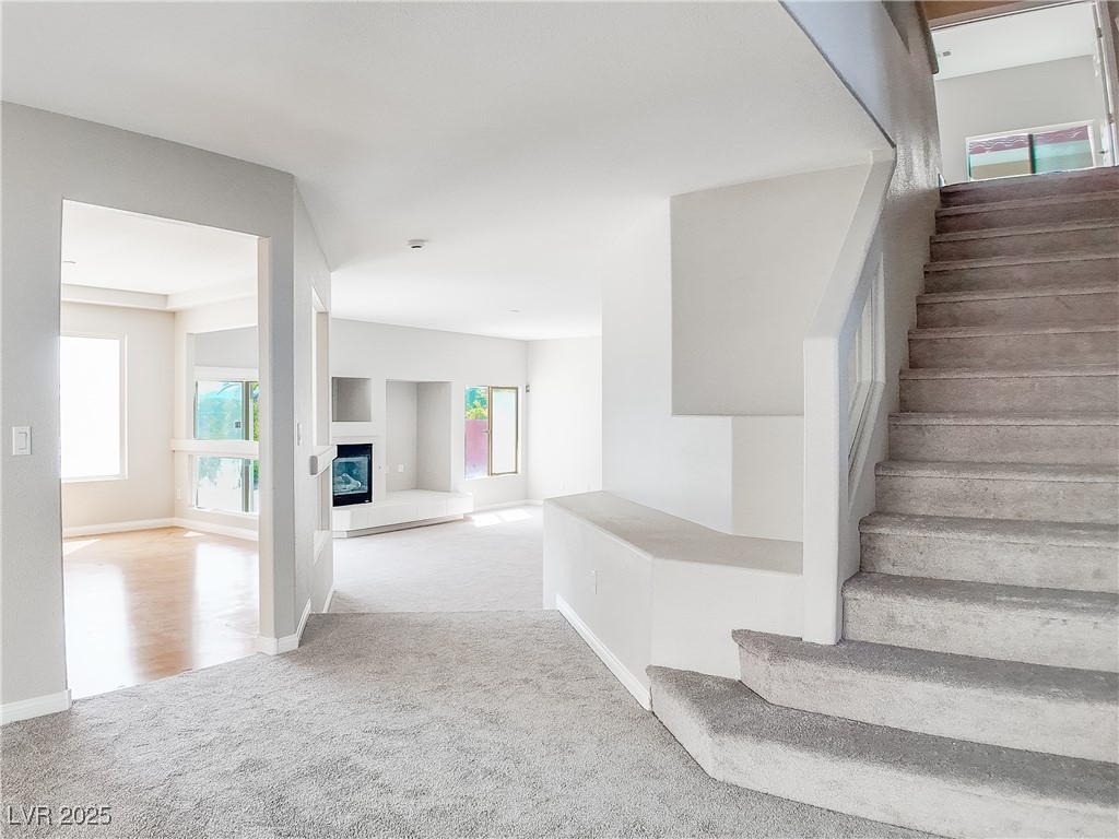 7746 Nautilus Shell Street