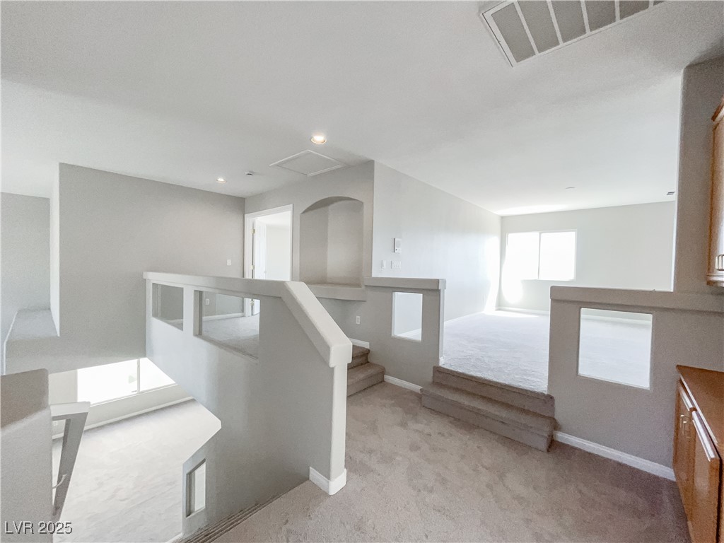 7746 Nautilus Shell Street