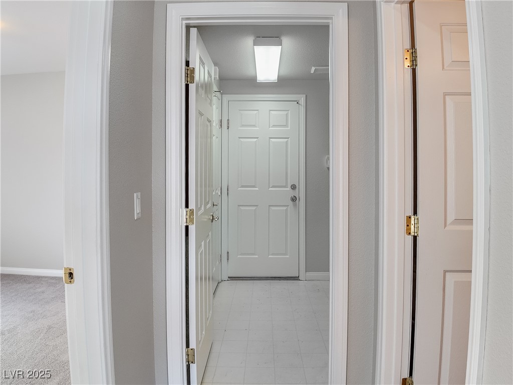 7746 Nautilus Shell Street