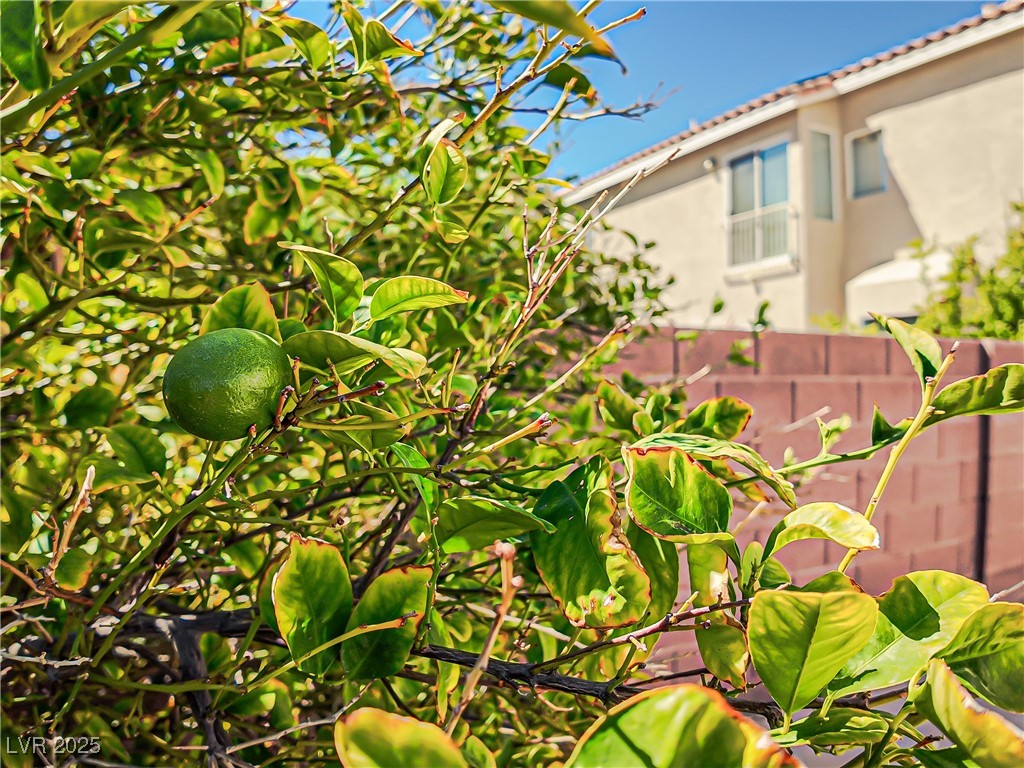 7746 Nautilus Shell Street