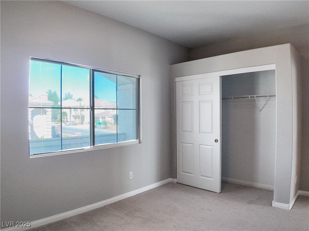 7746 Nautilus Shell Street