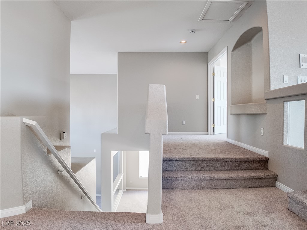 7746 Nautilus Shell Street