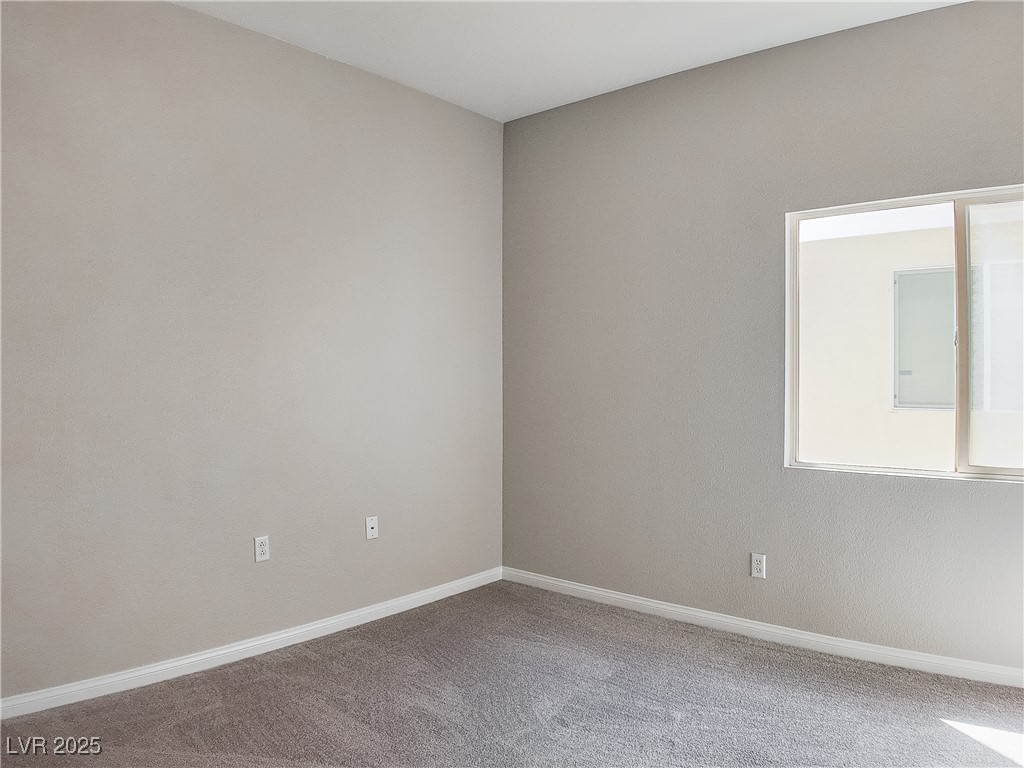 7746 Nautilus Shell Street