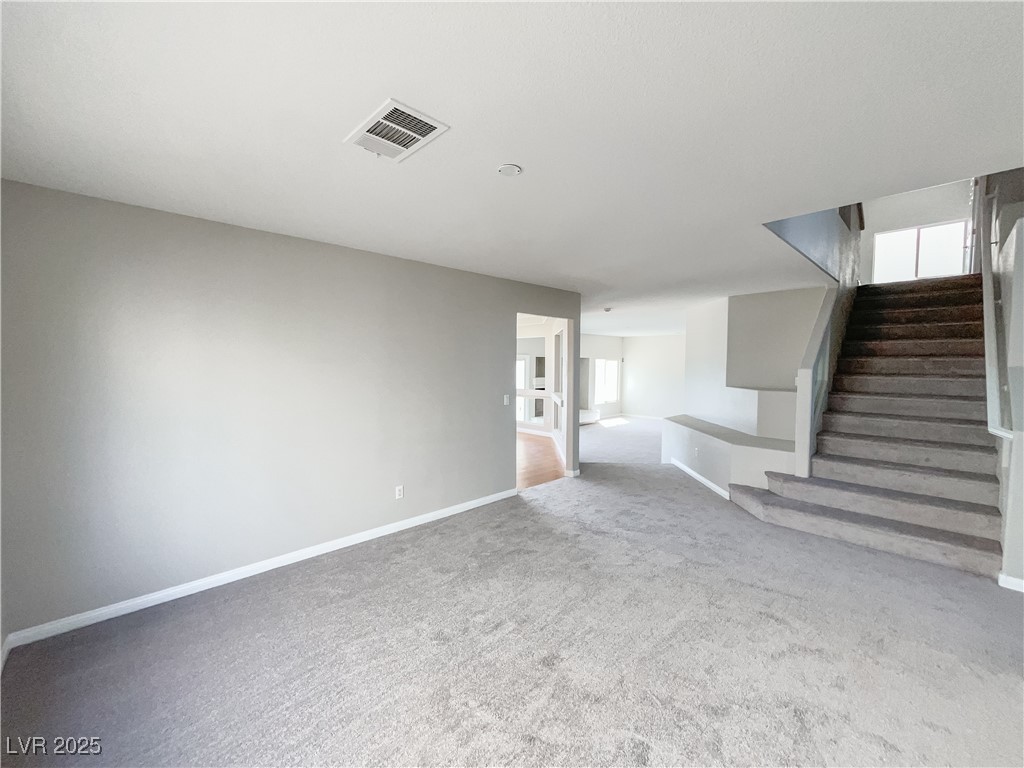 7746 Nautilus Shell Street