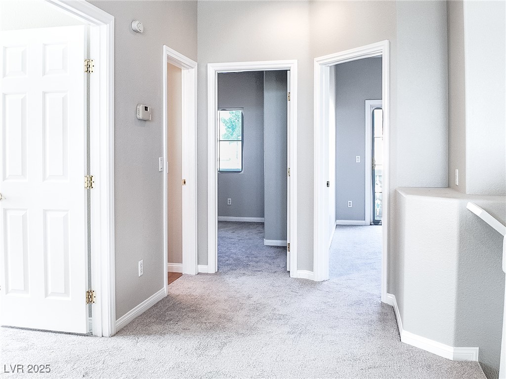 7746 Nautilus Shell Street