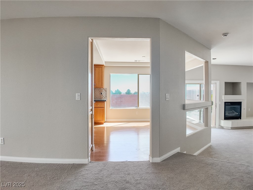 7746 Nautilus Shell Street