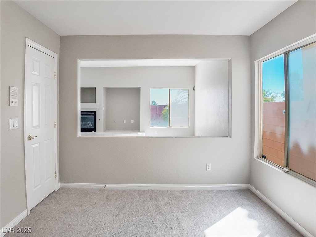 7746 Nautilus Shell Street