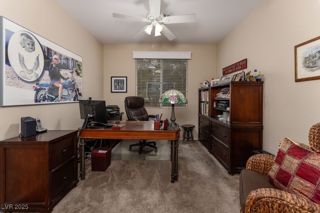 10161 Snow Crest Place