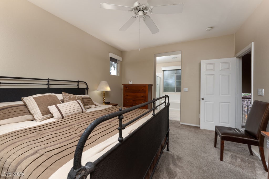 10161 Snow Crest Place